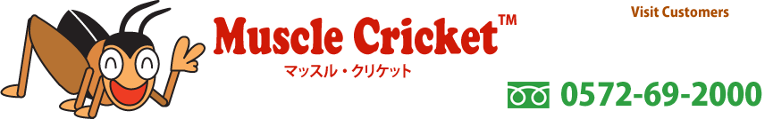 Muscle Cricket